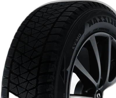 Bridgestone Blizzak DM-V2