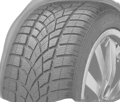 Dunlop SP WINTER SPORT 3D