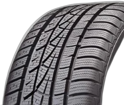Hankook Winter i*cept evo W310