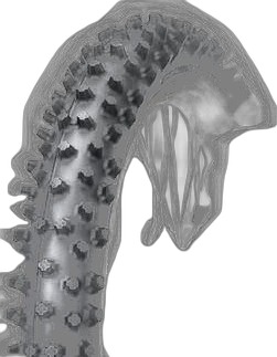 Dunlop GEOMAX MX12