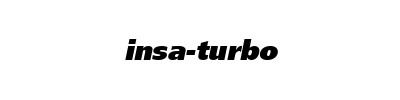 INSA TURBO