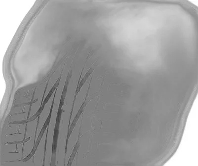 Pirelli P6000