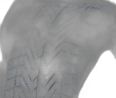 Vredestein Wintrac Xtreme