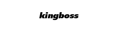 Kingboss G866